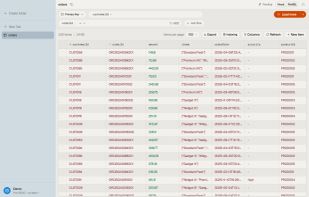 Visual table browser: the orders table with key filters, column controls and export.