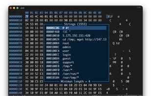dz6 screenshot 3