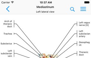e-Anatomy screenshot 1