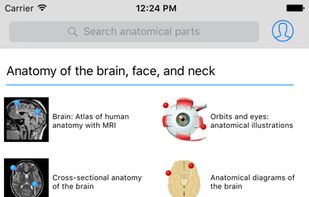 e-Anatomy screenshot 2