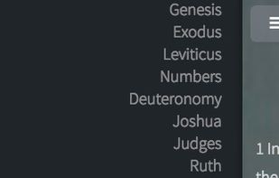 e-rhema Bible Web App screenshot 2