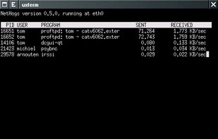 Nethogs screenshot 1
