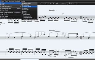 Adding a mark in Musink Lite