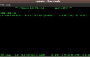 rTorrent