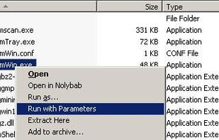 RunWithParameters screenshot 1
