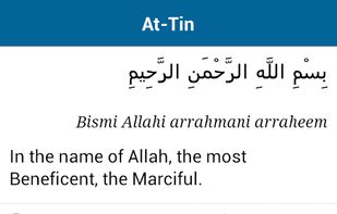 Last 20 Surahs screenshot 1