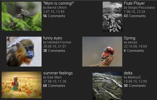 Gallery: Europe's best photos