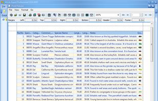 SQLite Expert screenshot 1