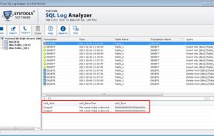 Software analyze selected file and preview the Row of selected Transaction