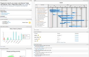 Customize your project dashboard with many widgets and charts