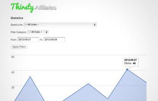 Check accurate click stats on your links