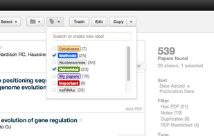 Paperpile screenshot 1