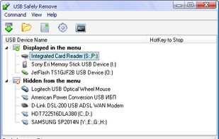 the program main window