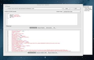 Rest Client screenshot 2