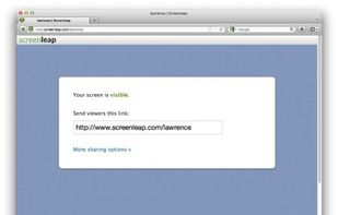 Screenleap screenshot 1