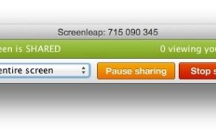 Screenleap screenshot 2