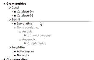 SilverNote screenshot 2