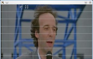 Lightspark showing video.