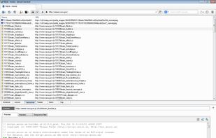 Sandcat Browser screenshot 3