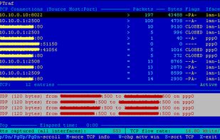 IPtraf-ng screenshot 1