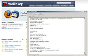 Live HTTP Headers screenshot 1