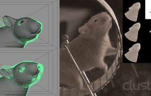 FurryBall screenshot 3