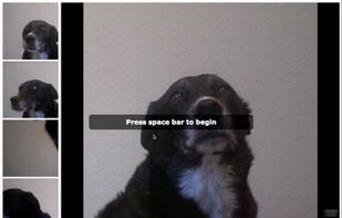 Sparkbooth screenshot 1