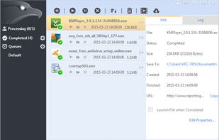 EagleGet screenshot 1