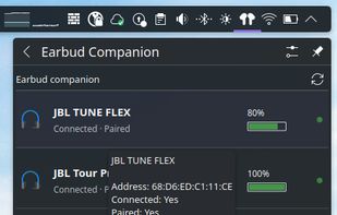 Earbud Companion screenshot 1
