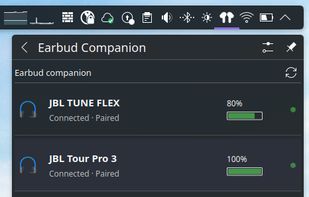 Earbud Companion screenshot 1