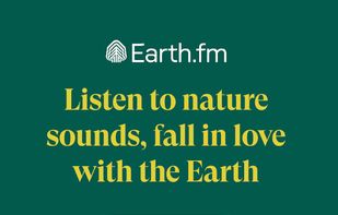 Earth.fm screenshot 1