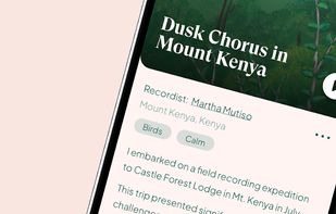 Earth.fm screenshot 3