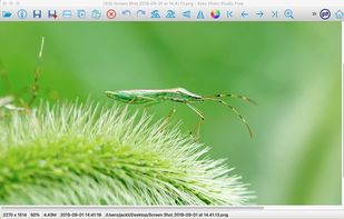 Easy Photo Studio FREE for Mac screenshot 1