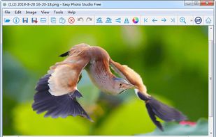 Easy Photo Studio FREE for Windows screenshot 1