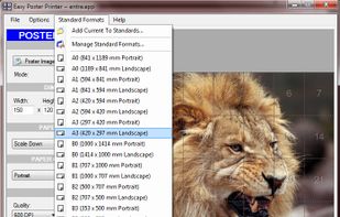 Easy Poster Printer screenshot 1