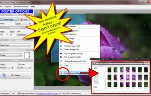 Easy Poster Printer screenshot 2