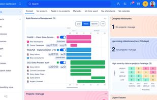 Easy Redmine screenshot 3