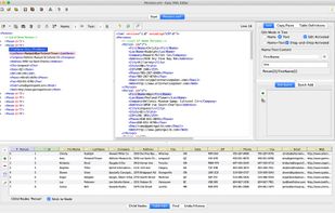 Easy XML Editor screenshot 1