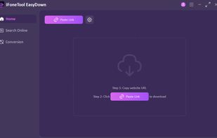 EasyDown screenshot 1