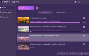 EasyDown screenshot 3