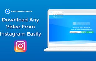 Easydownloader.online screenshot 1