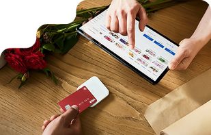 eCheckPlan screenshot 2