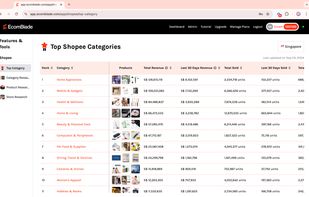 Top Categories Data of Singapore
