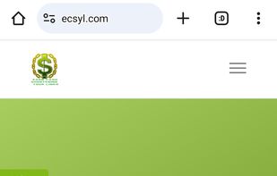 ECSYL screenshot 1