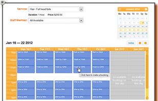 the online booking system that works right on your website