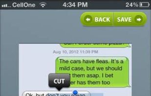 Text Disaster screenshot 2