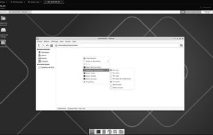 Built-in VNC viewer showing a remote Linux desktop