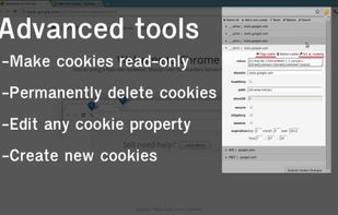 EditThisCookie  screenshot 1