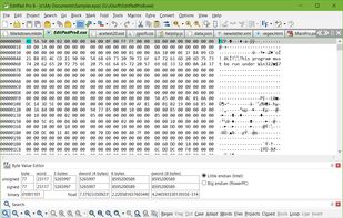 Editing a Binary File in EditPad Pro