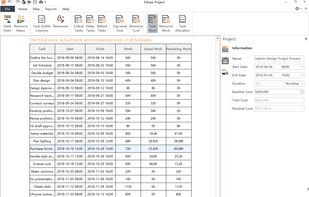 Edraw Project Budget Report